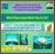 Affirmations & Bible Verses
