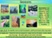 Affirmations & Bible Verses