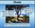 Affirmations & Bible Verses
